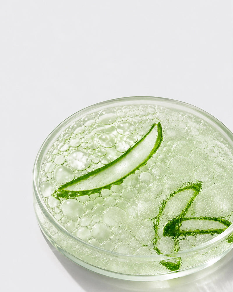 Aloe Vera Leaf Juice